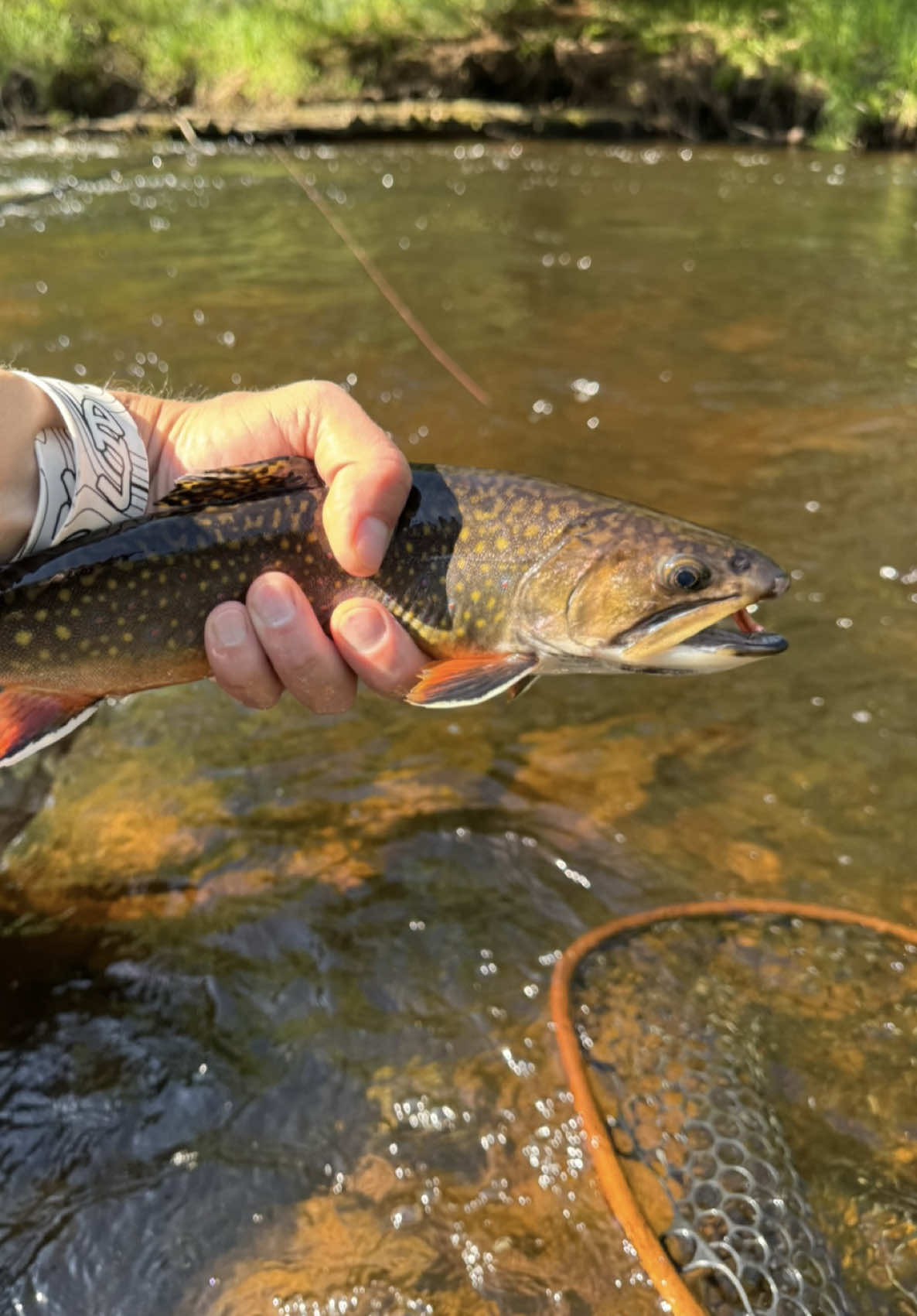 @FlyFishDelawhere