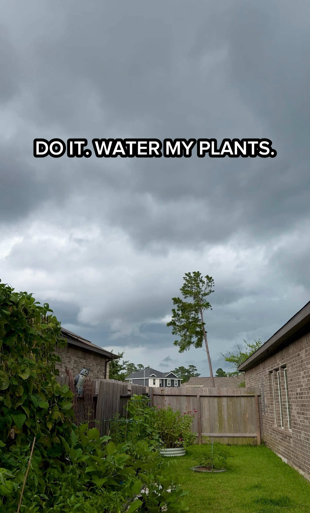 @Sara&rsquo;s Bites 🌱