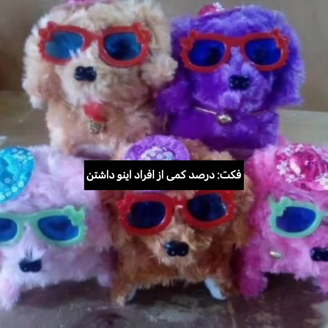 @donyaaow