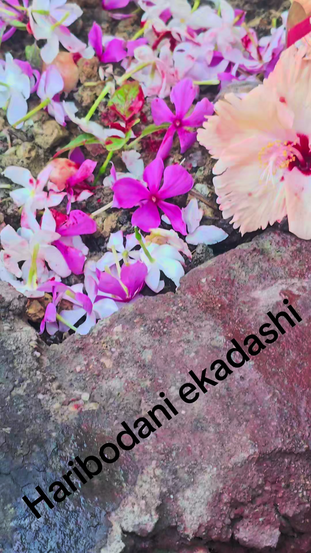 @PUSHPA_RAAZ