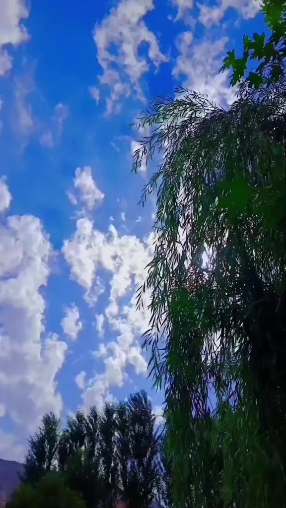 @BEYAZSU_YAŞAM