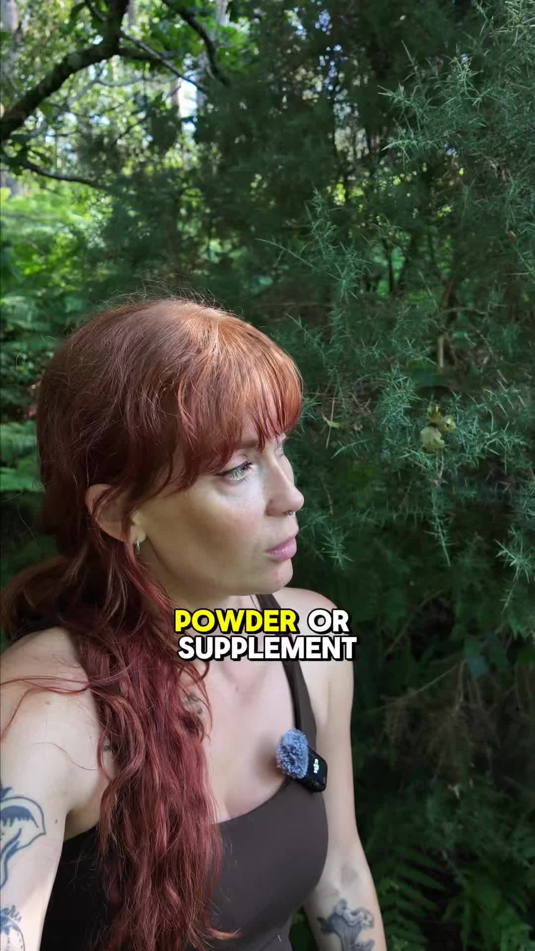 @Ancient Extracts