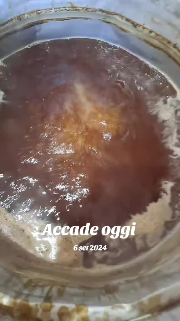 @Michela Sabatino