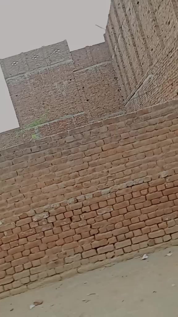 @Abbas Ali