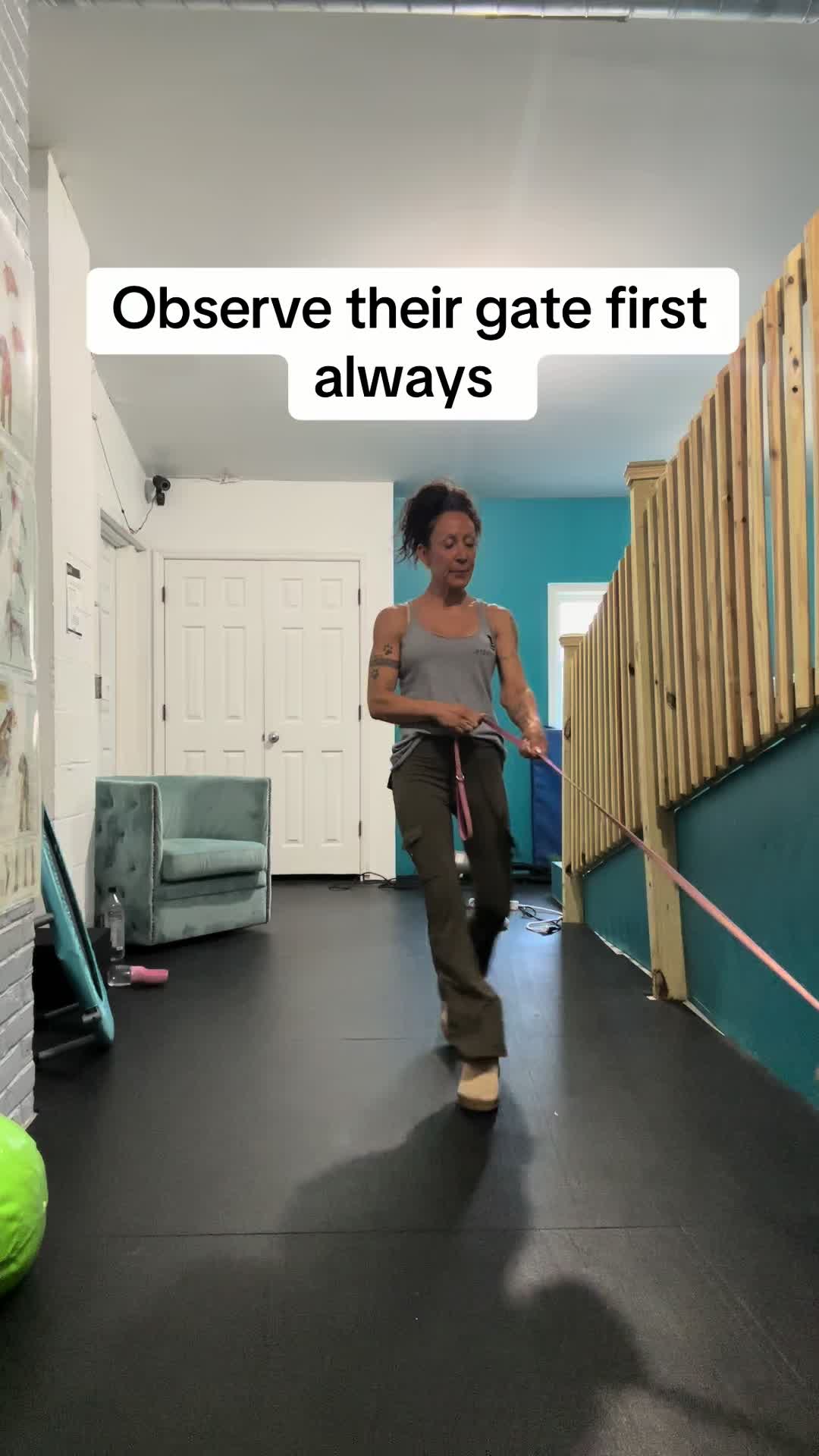 @dogmom76