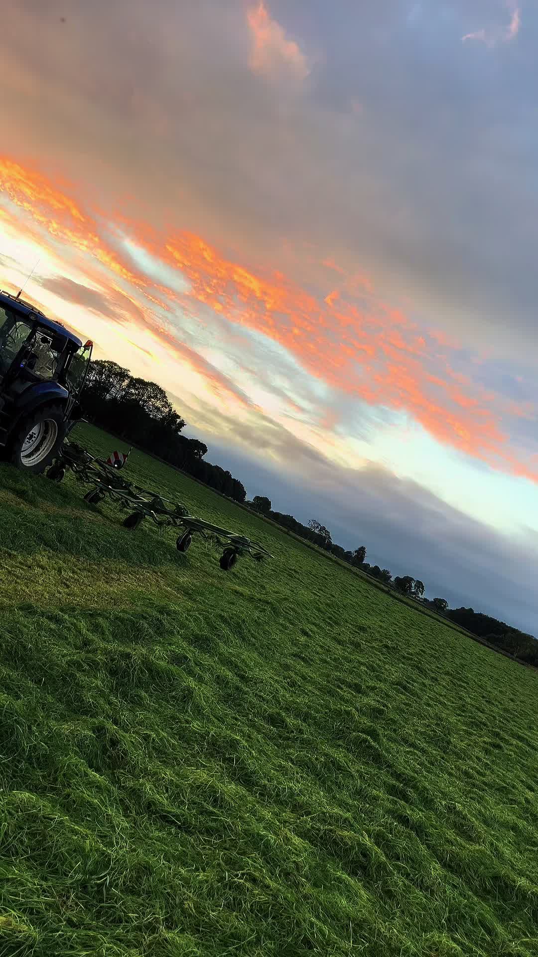 @Piggy🌾🚜