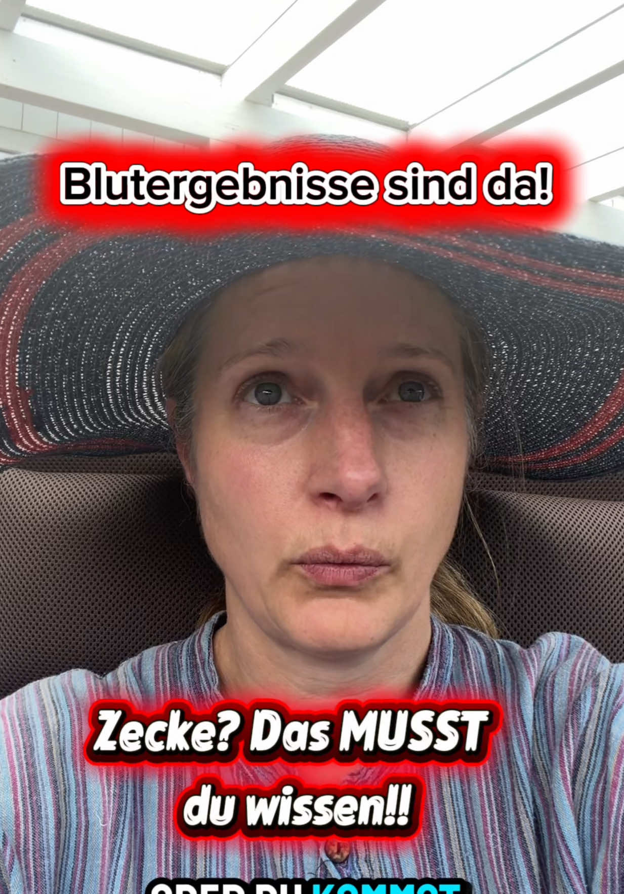 @INSAbenteuerHund