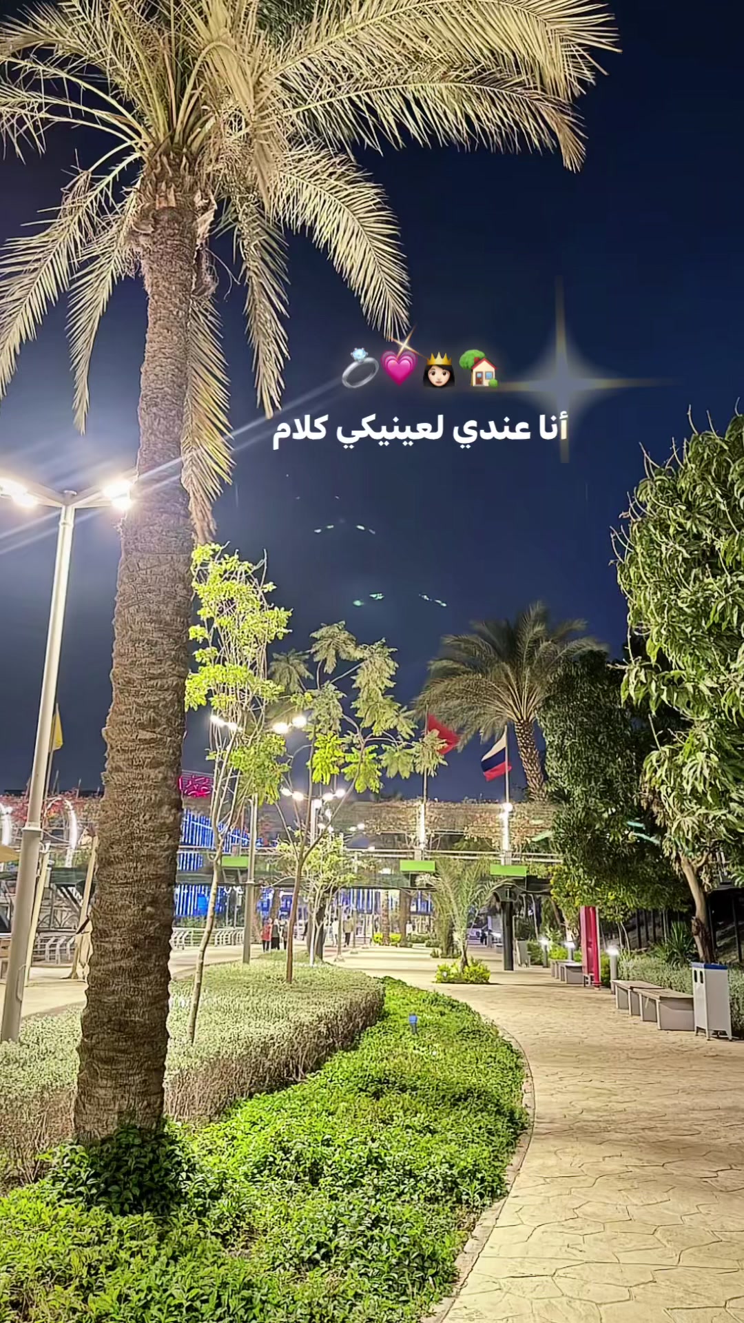 @🌟