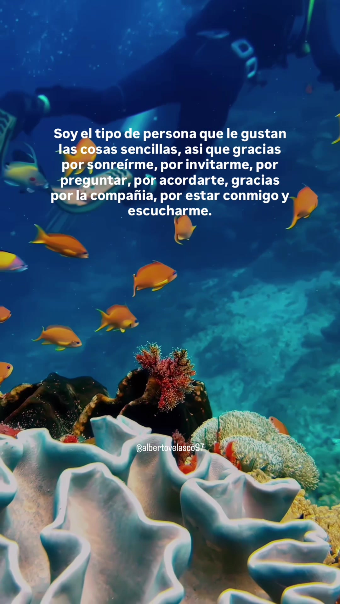 @Alberto Velasco