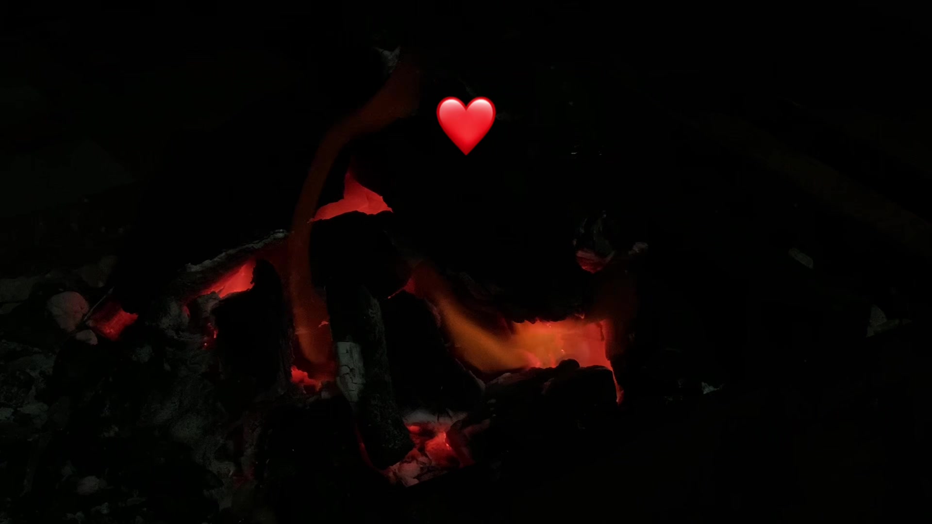 @🦇