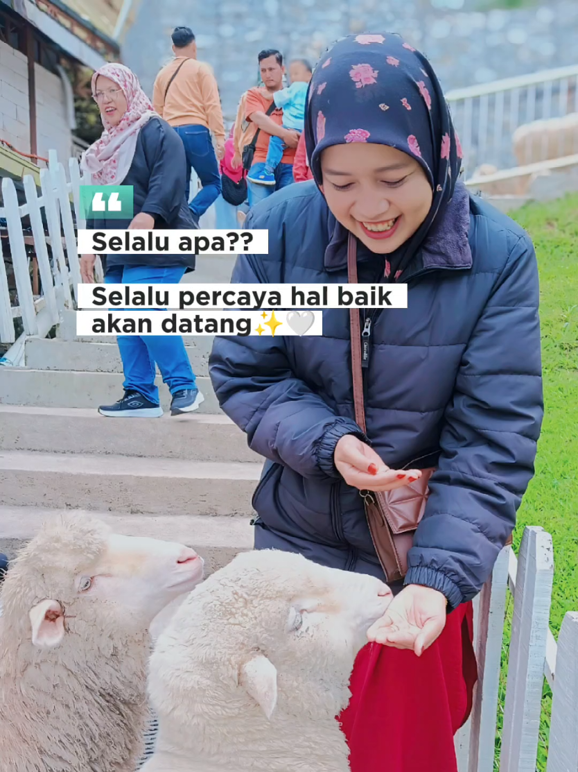 @nrhdyhrosli