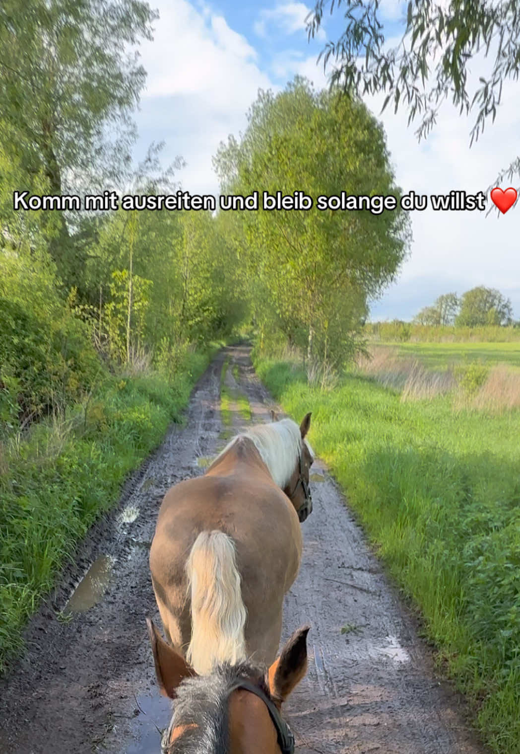 @Ponyhausen
