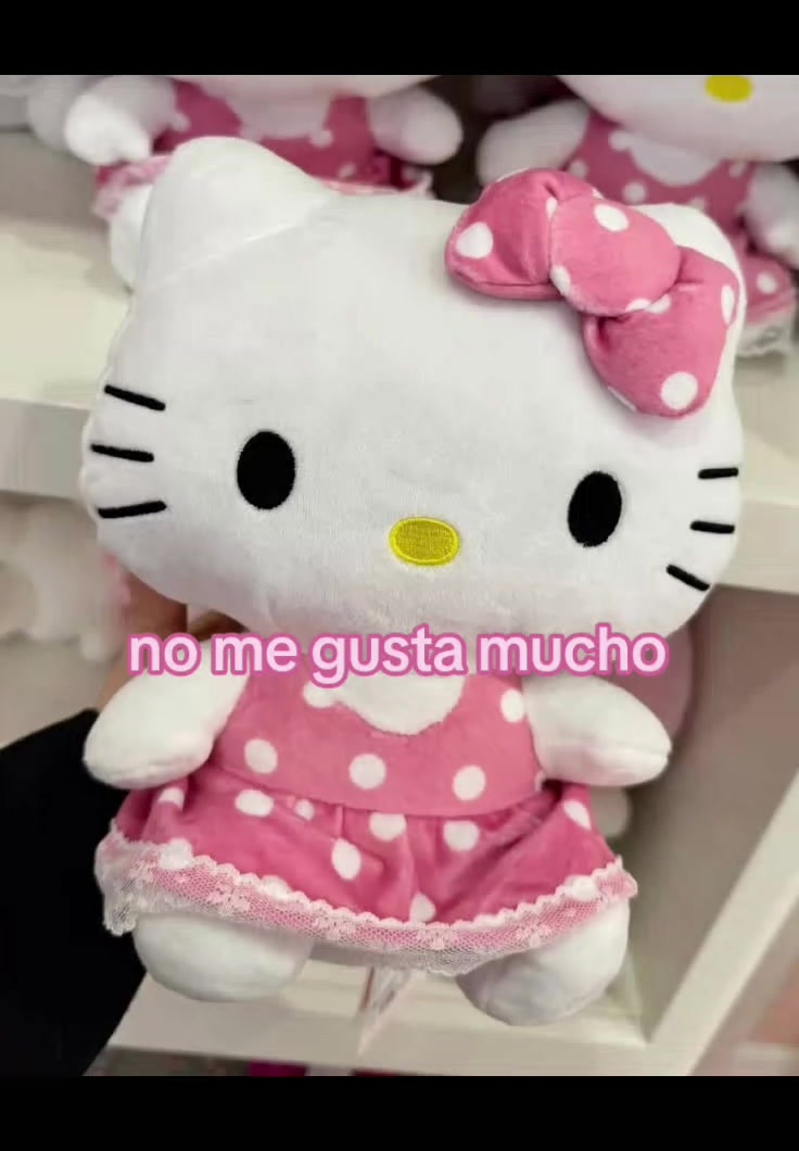 @⋆꙳⸜⸜🎀 ℰ𝓋𝒶 𝒮ℴ𝒻í𝒶 🎀⸝⸝꙳⋆