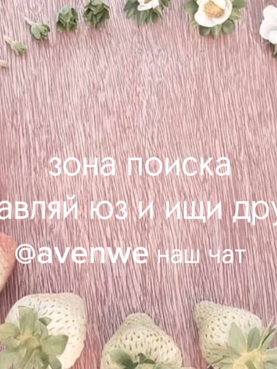 @avenew чат