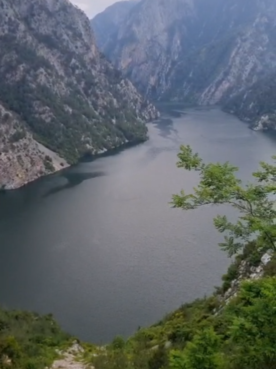 @Ali Sağlamer