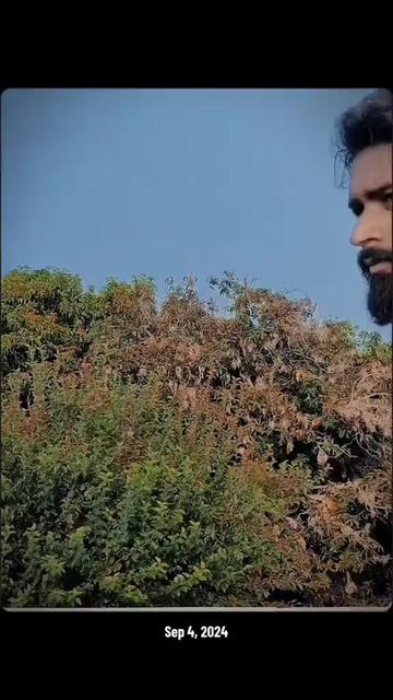 @حمزہ ♡