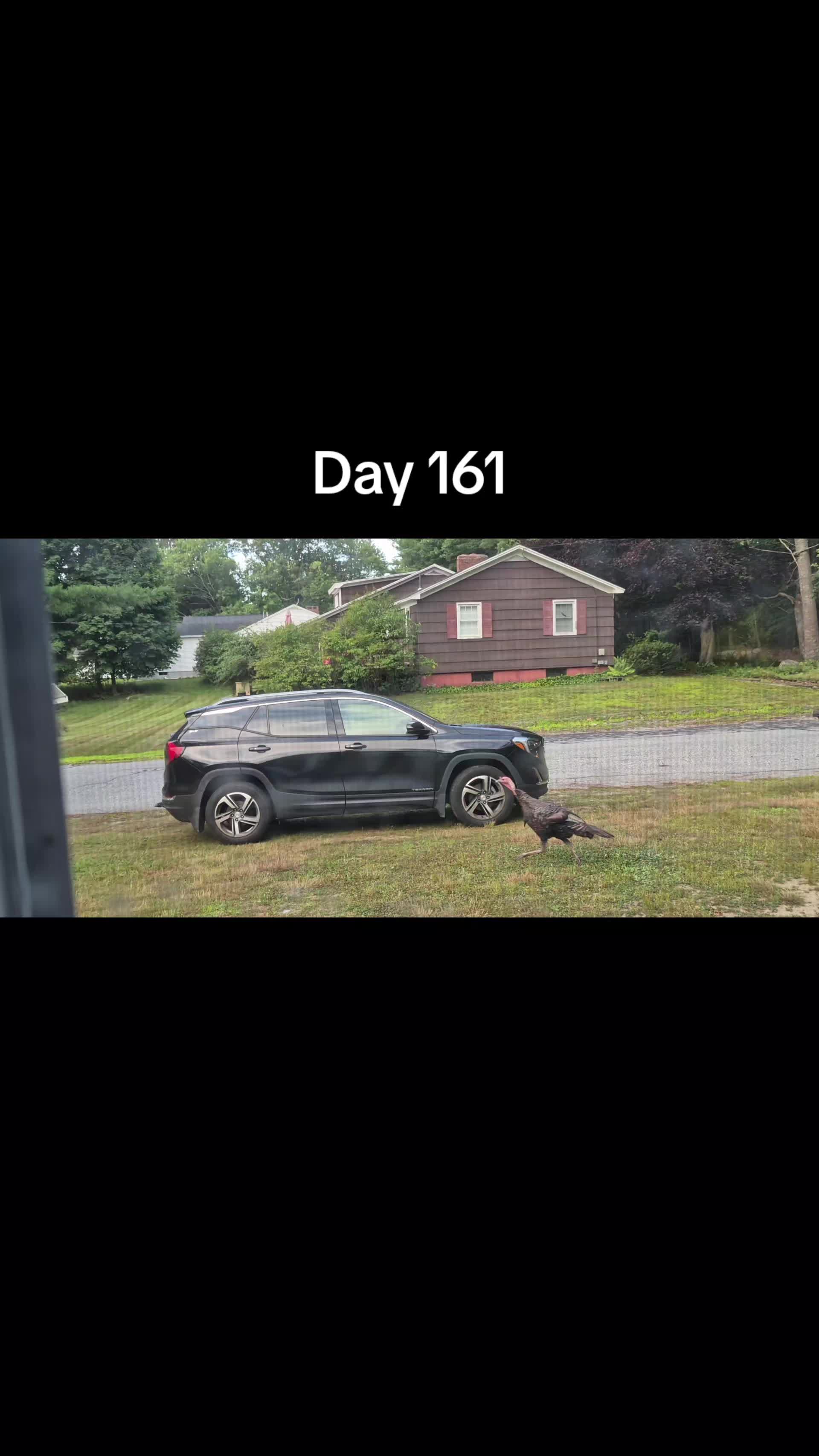 @EveninAcadia