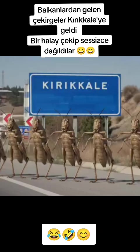 @yılmaz Çetinkaya