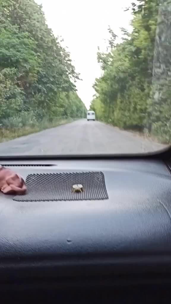 @Саня🇺🇦🇺🇦🇺🇦