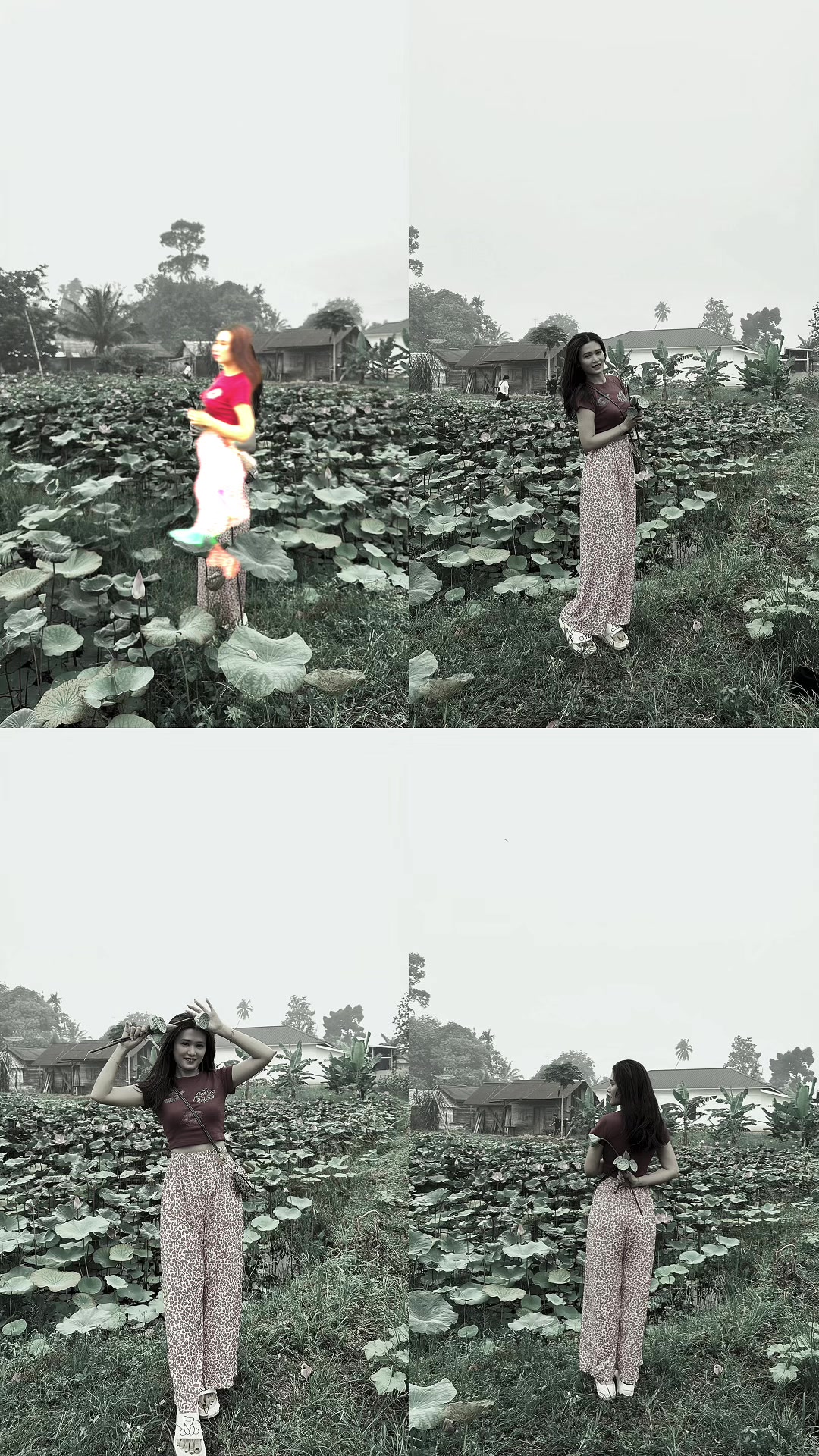 @Kota Amoy