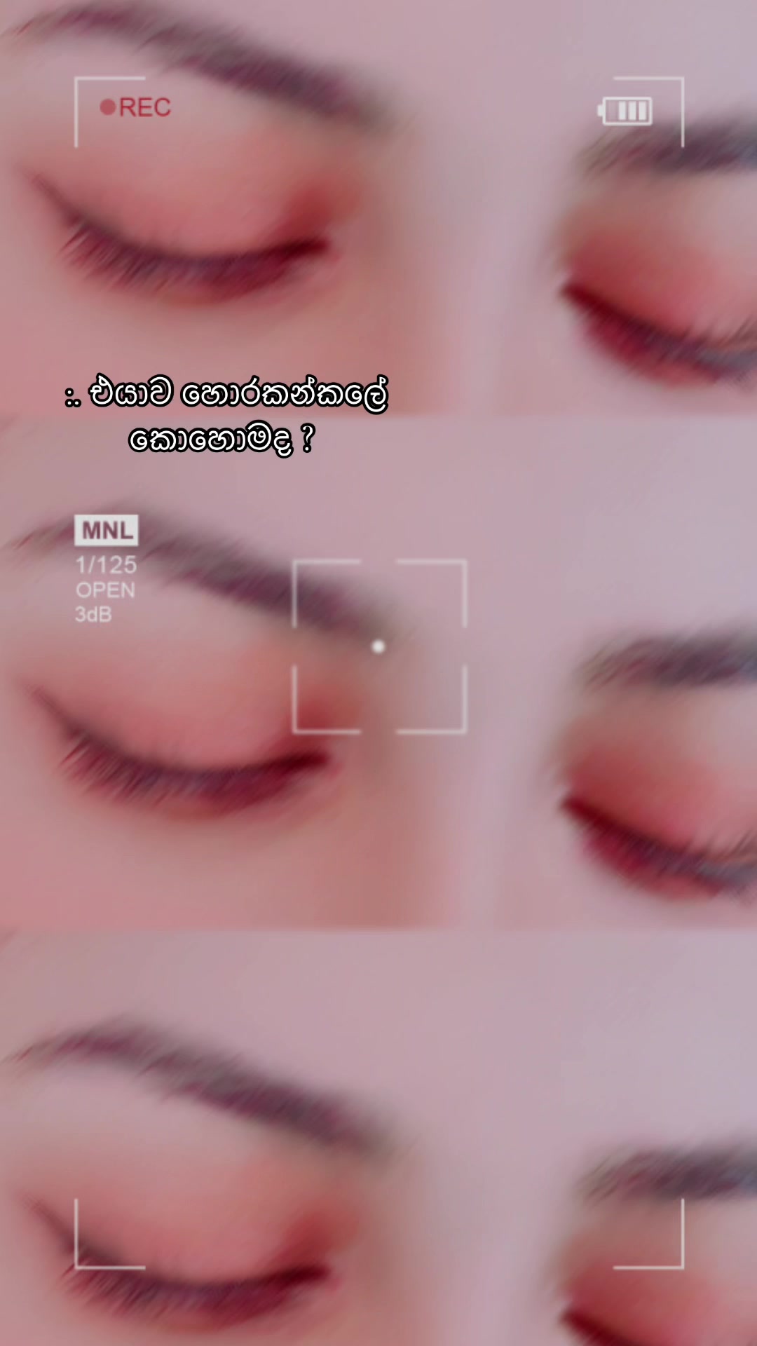 @Taniya >•🧚♀🇱🇰 🇰🇼