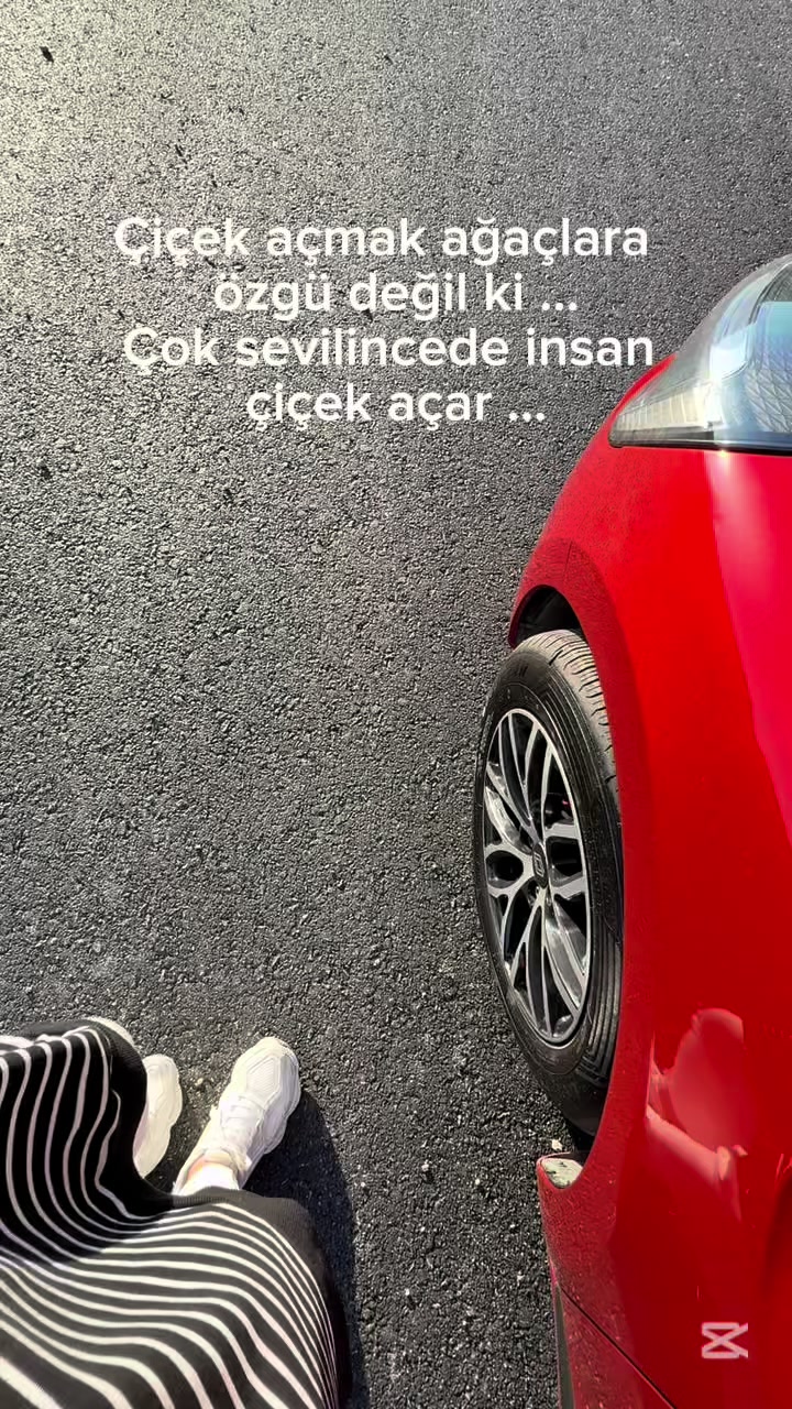 @yasemin.altkn