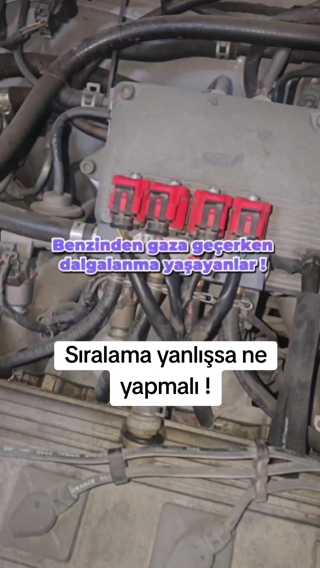 @FENOMEN GAZCI