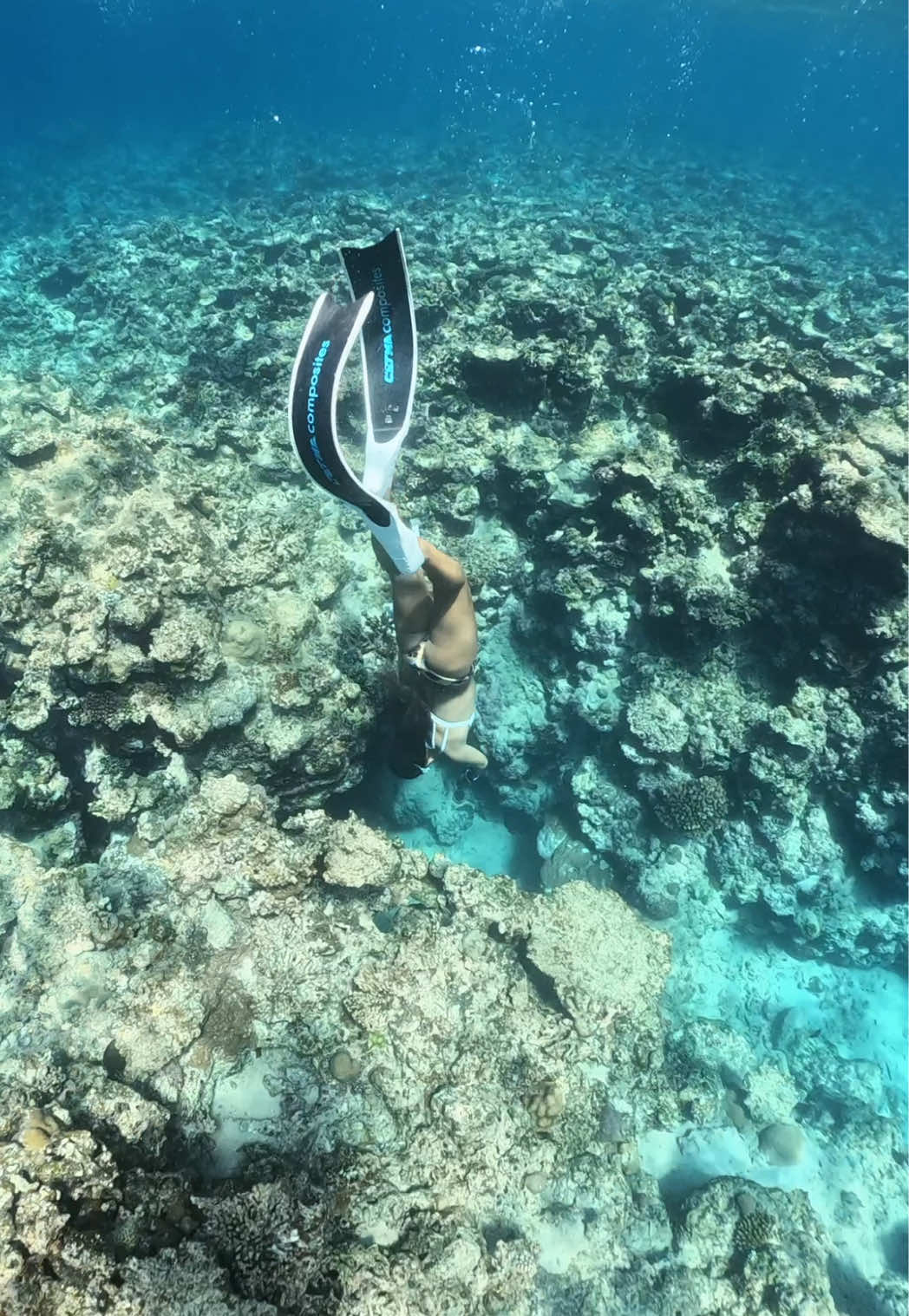 @素潜り女🧜🏽&zwj;♀️🫧🪸