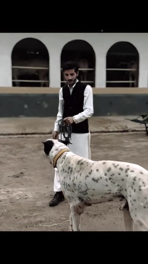@مبین کیانی_555(فحرے پوٹھوہار)