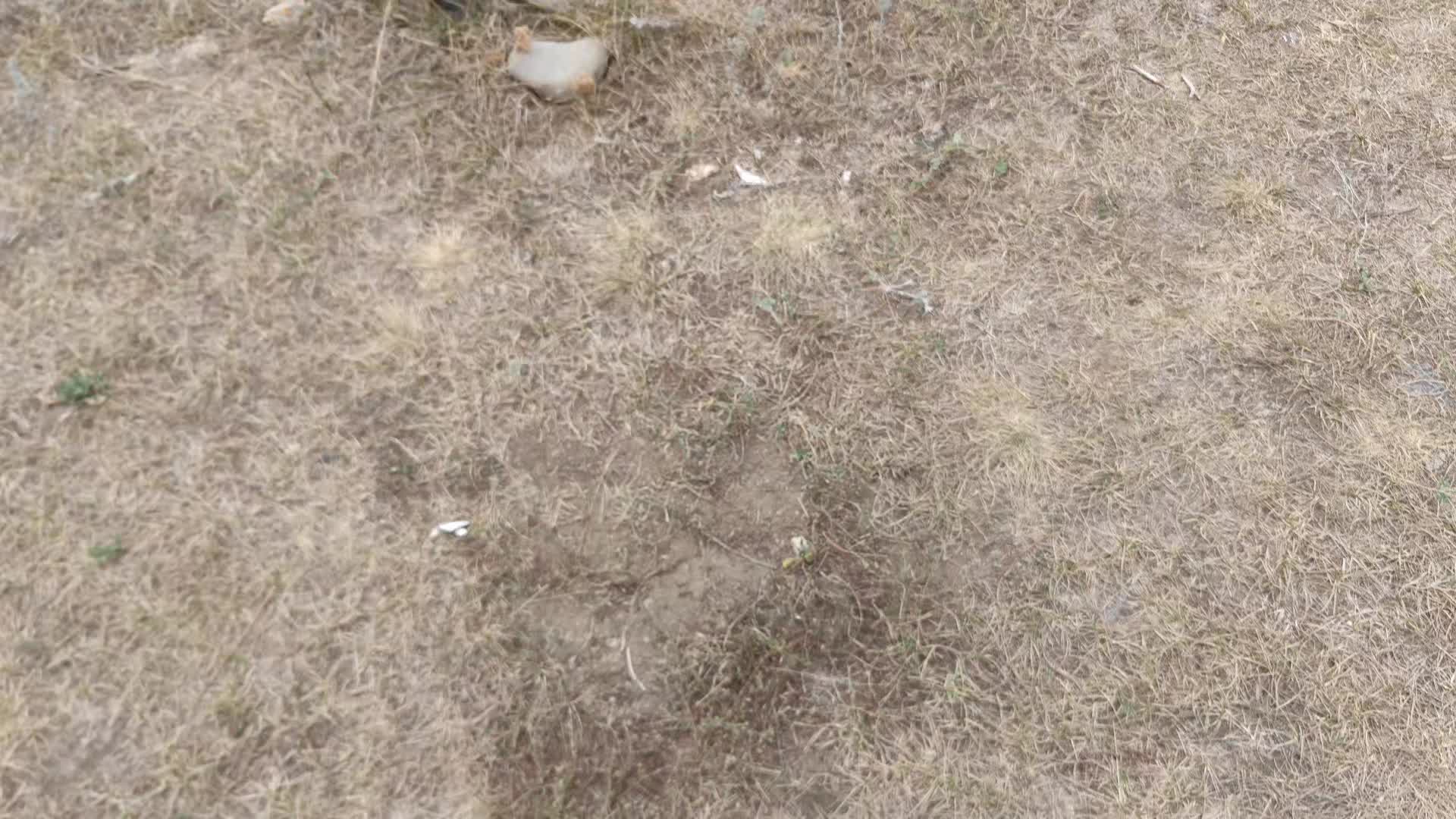 @ㅤ ︎ ︎ ︎ ︎ㅤ ︎ ︎ㅤ ︎ ︎ㅤ ︎ ︎ㅤ ︎ ︎
