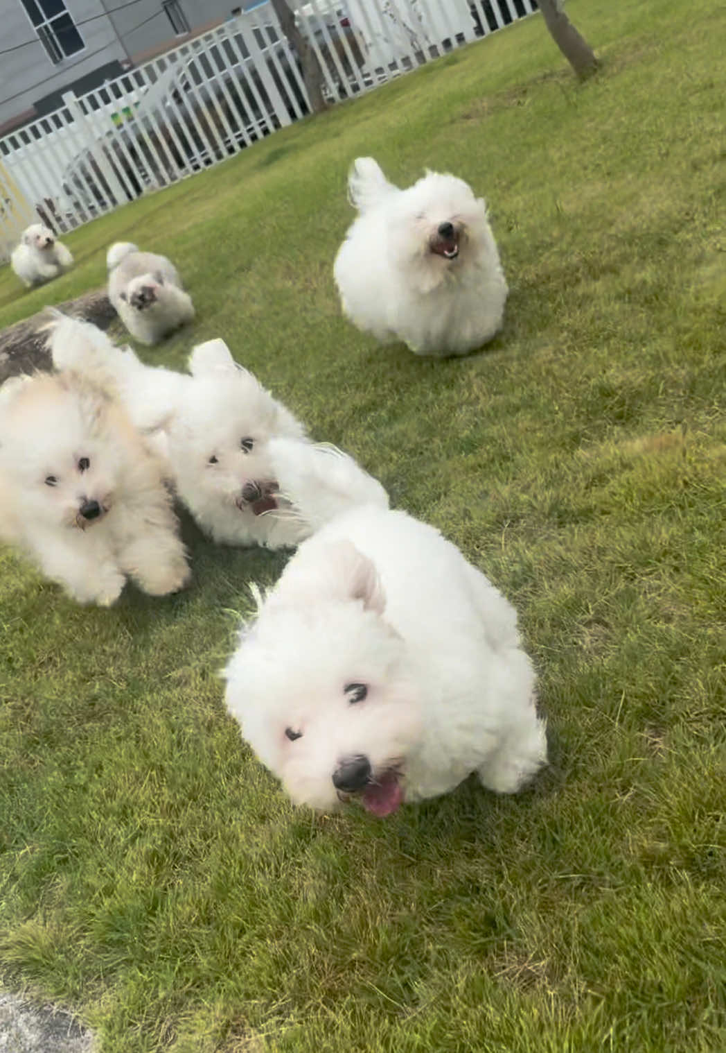 @정최고