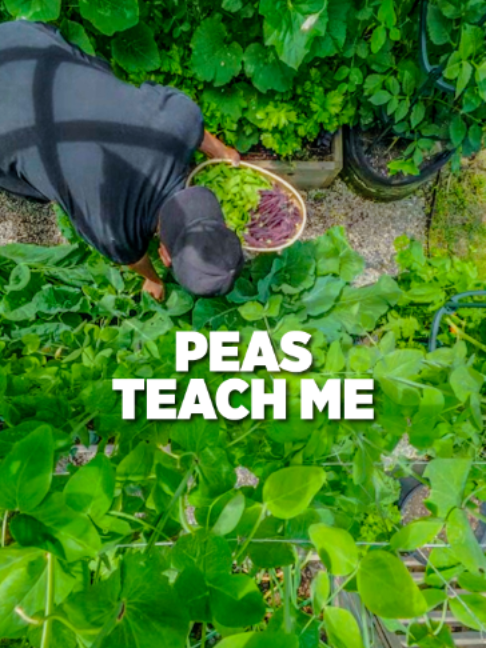 @Planted in the Garden