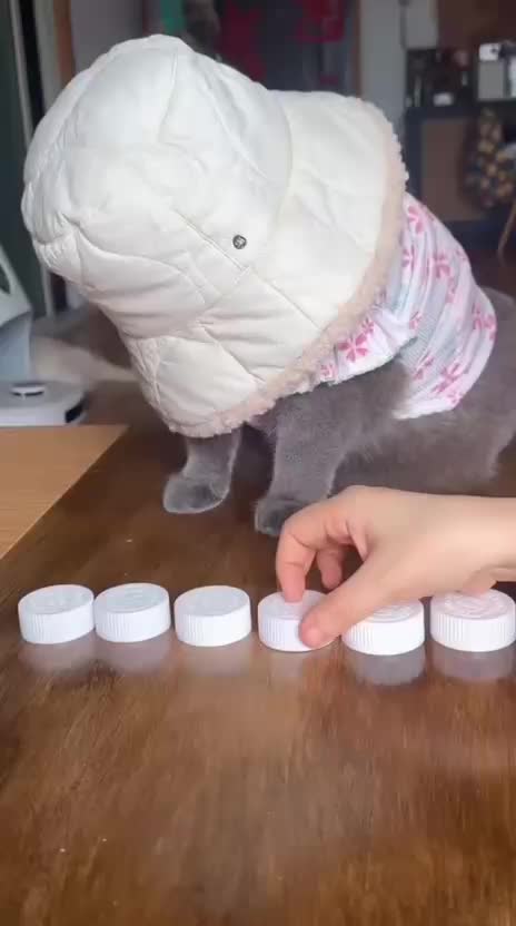 @Funny