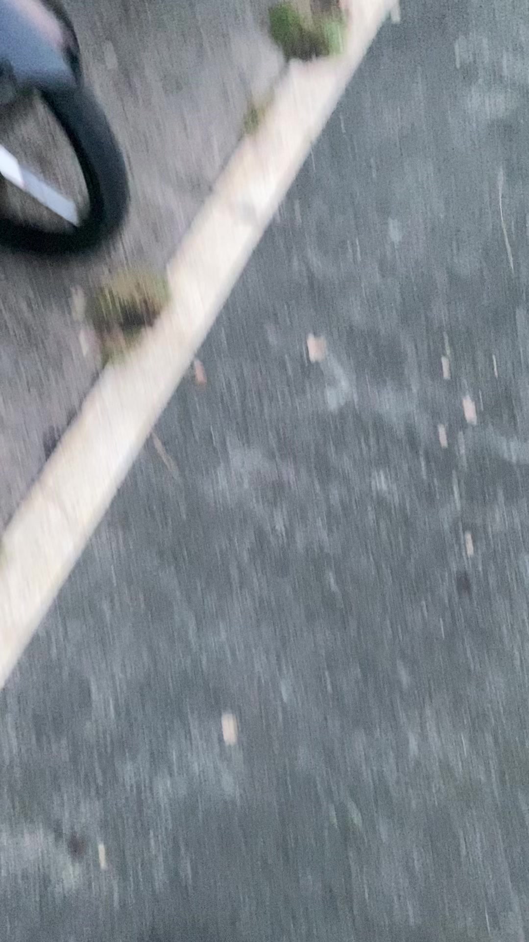 @stylowizz