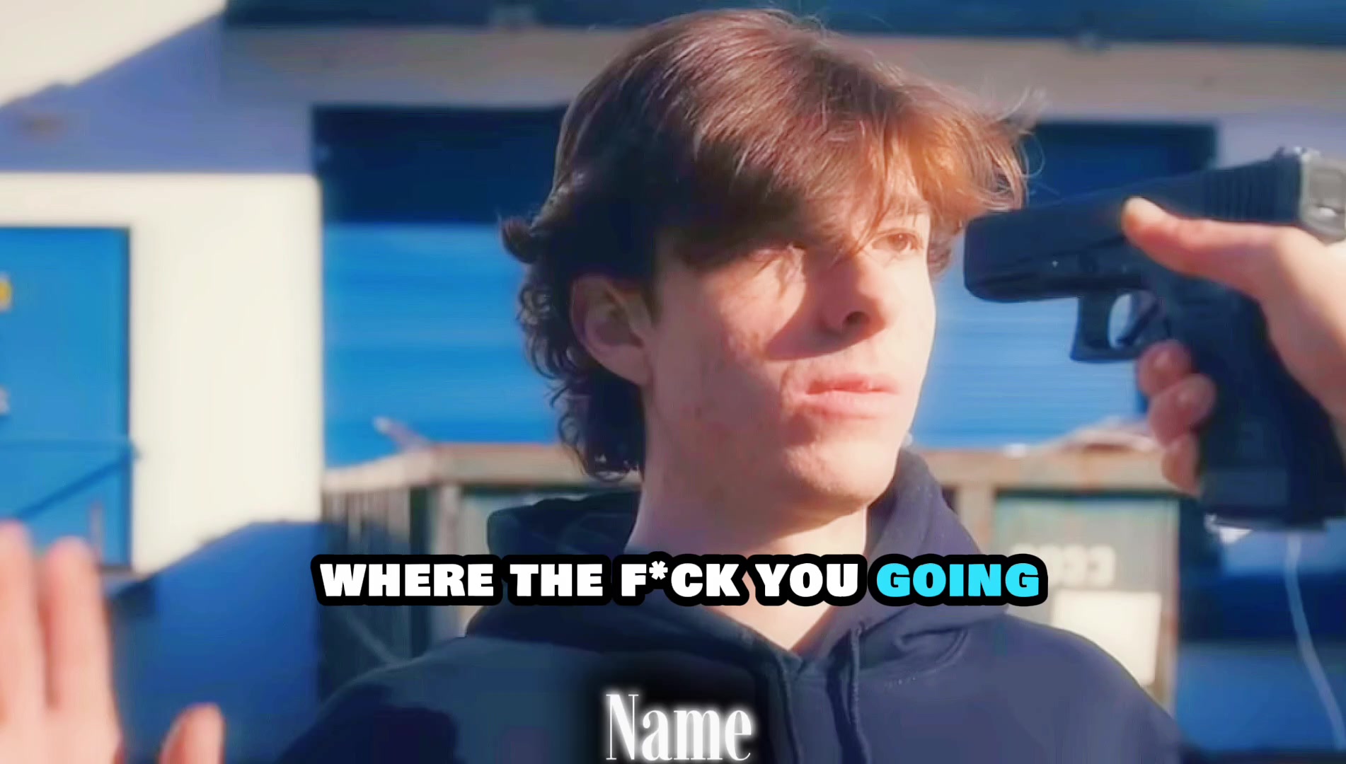 @gato
