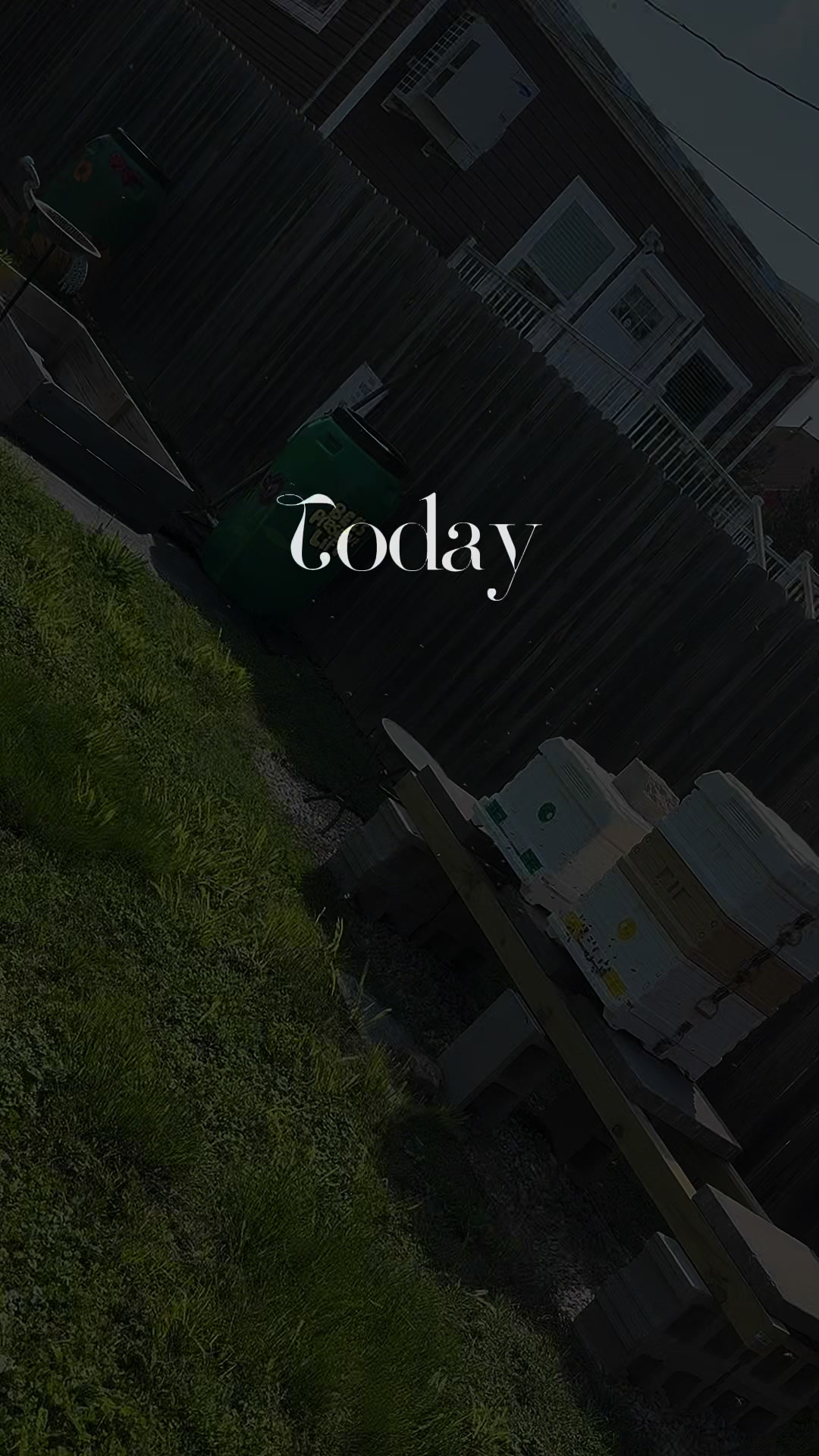 @DivaKBees🐝🐝🐝
