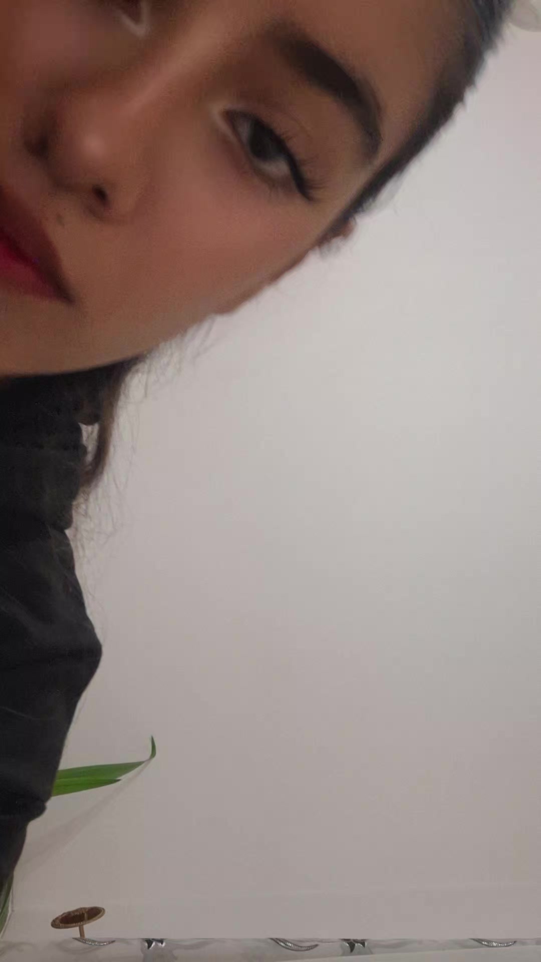 @Seta