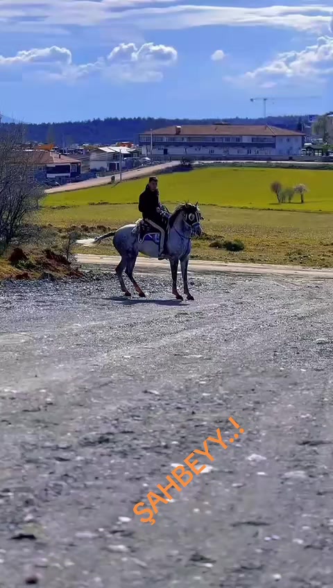 @H&uuml;seyin.cıbır