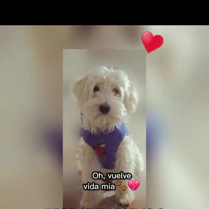 @Stephany Llundo