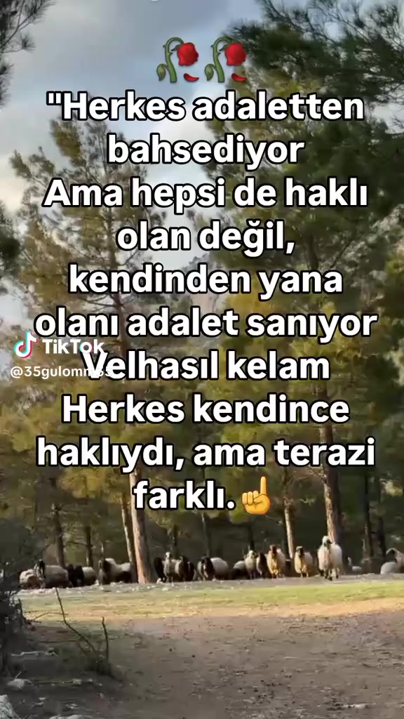 @Atakan 8154