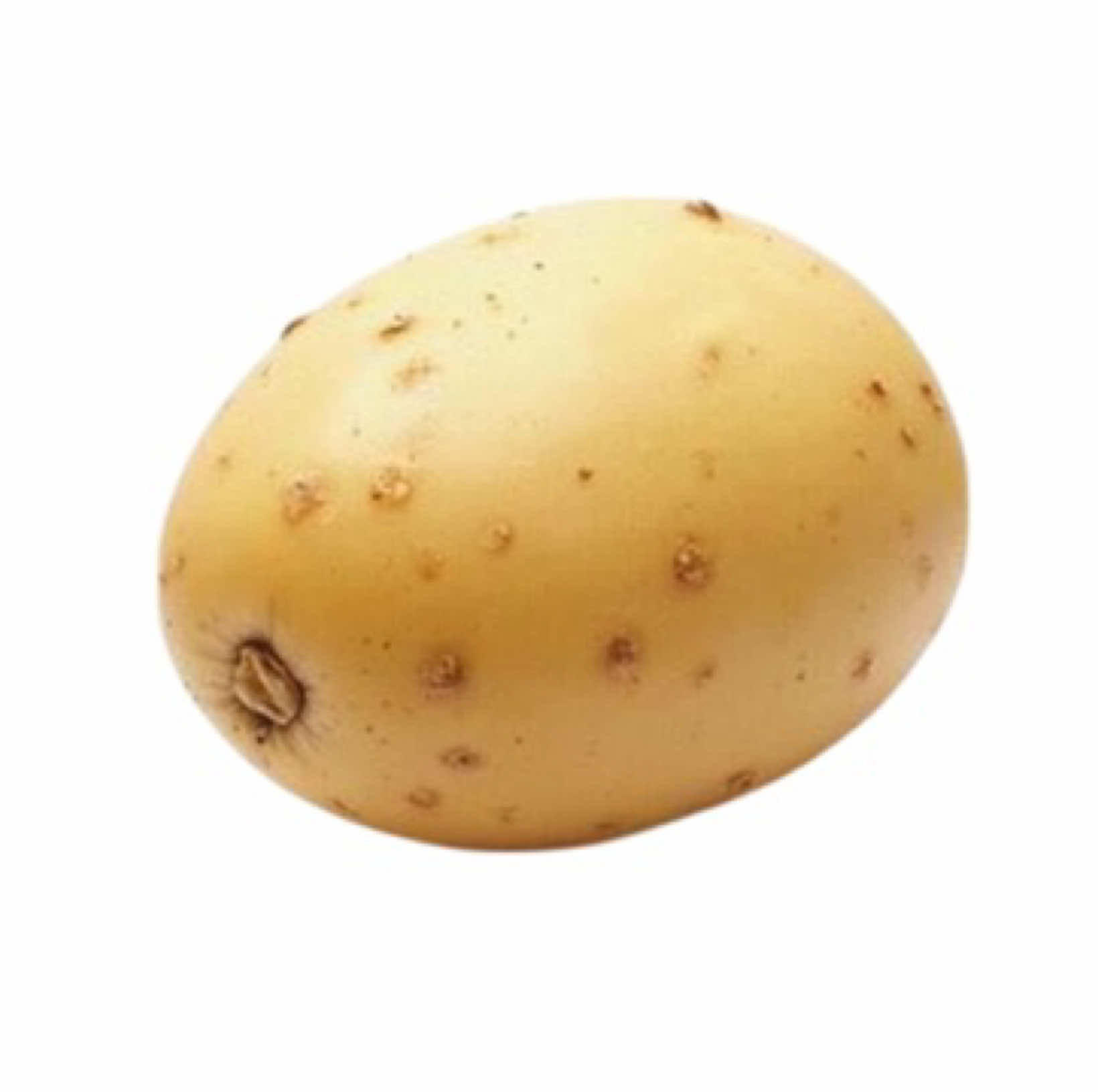 @boomy