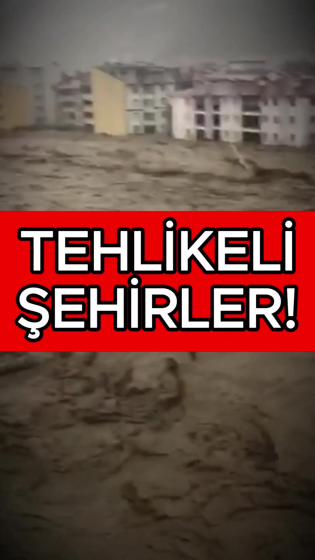 @Havadar