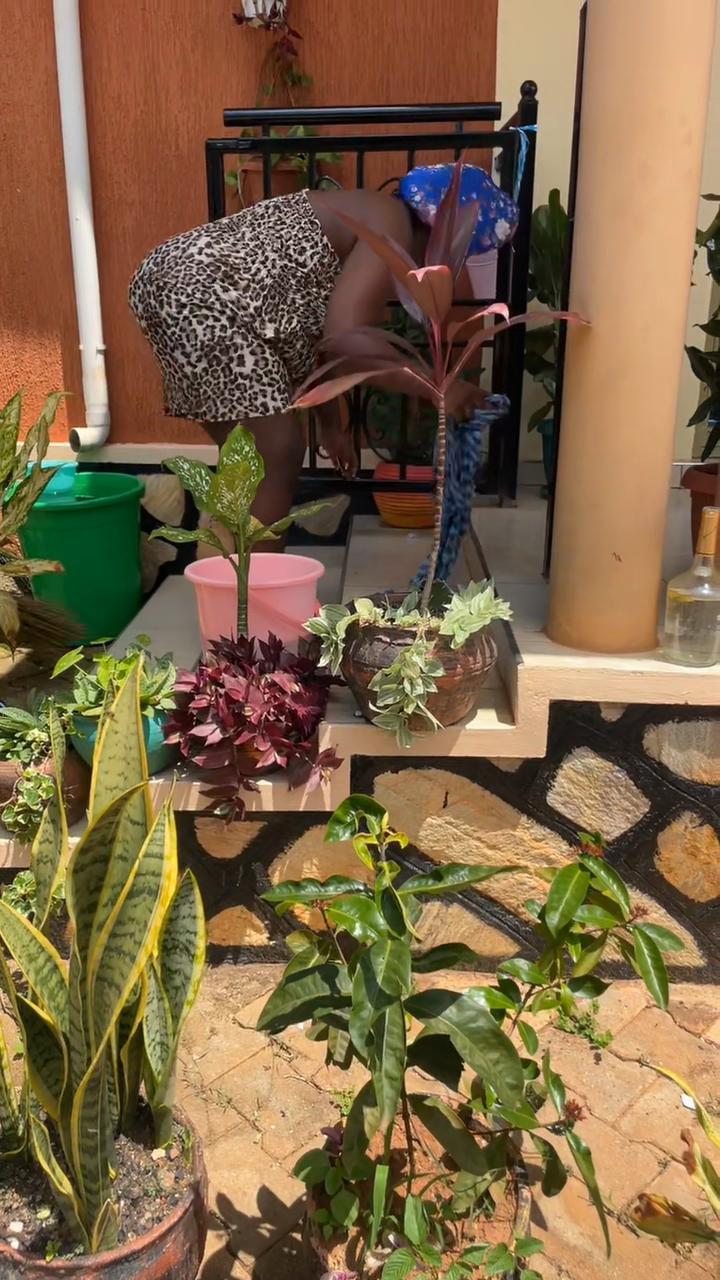 @Mukyala Boss
