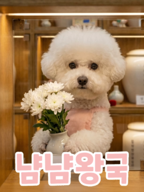 @냠냠왕국