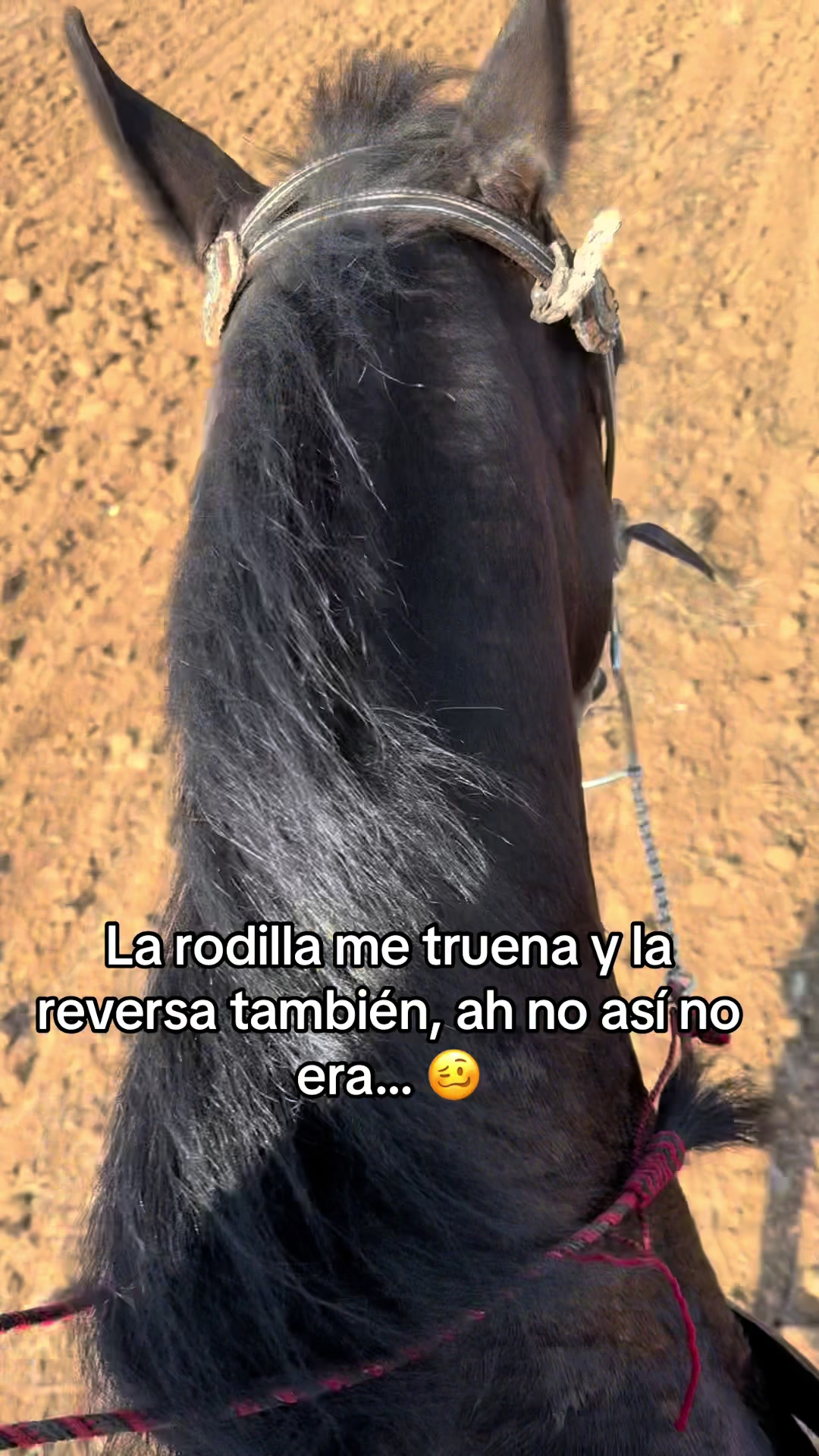 @El compa Javi