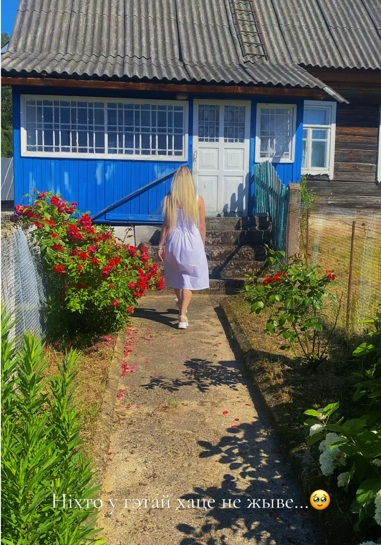 @nastena_lisichka