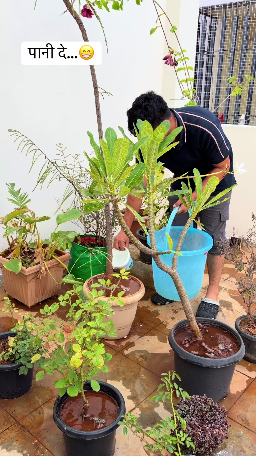 @सूरज शाही ठकुरी