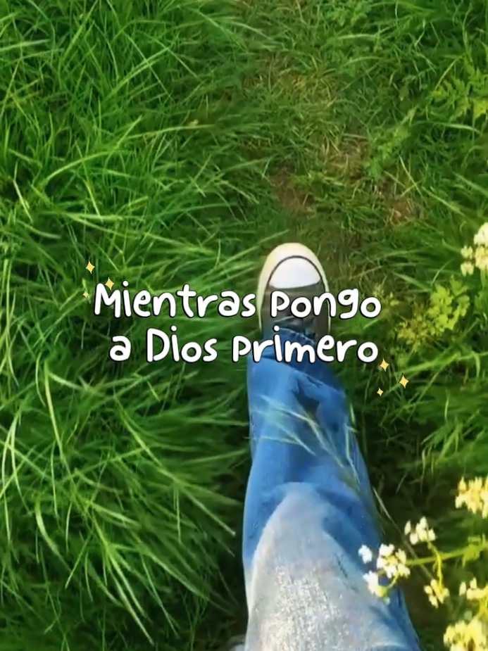 @Veronica Amor