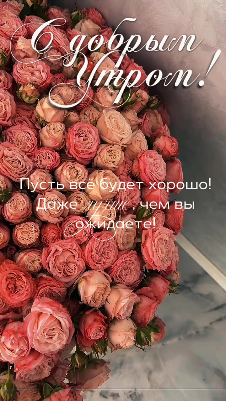 @☆꧁✬◦.𝒱.𝒮𝒽 .✬꧂☆