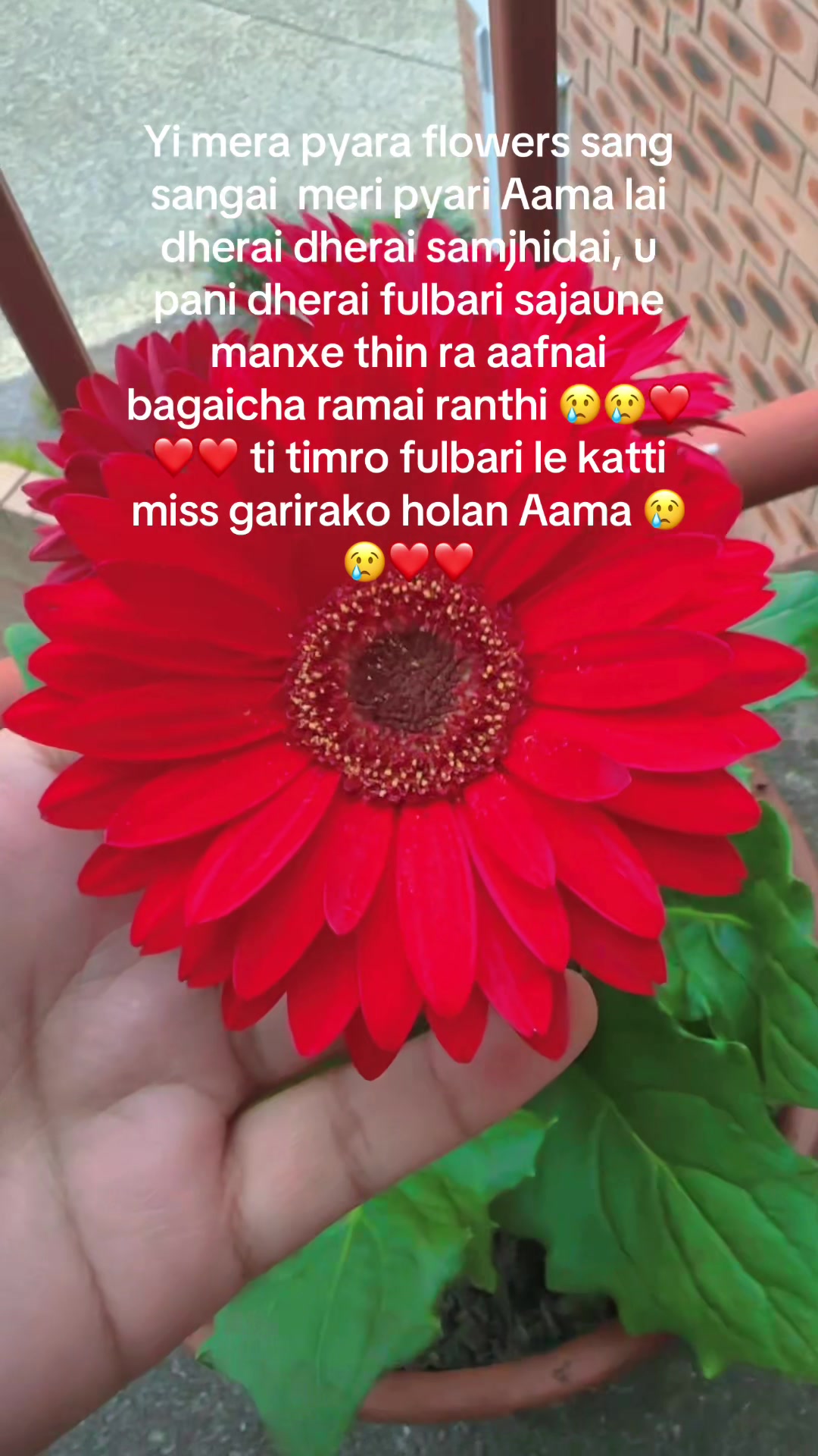 @Ang Ngima Tmg